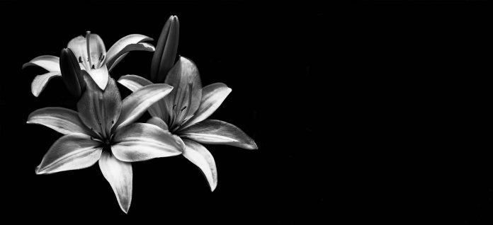 Vale, passing, RIP